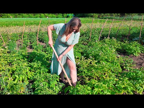Life in a Ukrainian Village | Outdoor Cooking Potatoes, Meat & Mushrooms in a Village Cauldron