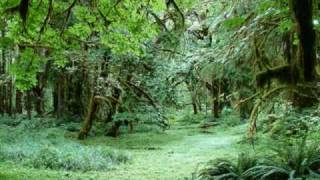 Rain (Chuva) ～Summer Samba (Samba de Verao) - Walter Wanderley