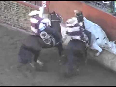 Selección de atajadas Criadero Las Callanas