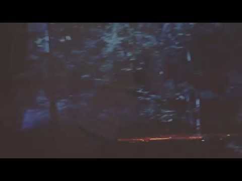 Lyfe Harris - Supply You (Official Video)