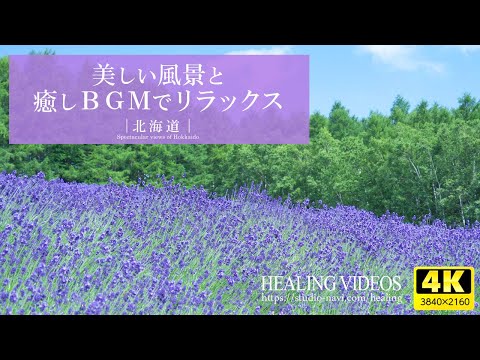 [Healing] Spectacular views of Japan! \Hokkaido\ Vast land, nature, and gentle piano BGM
