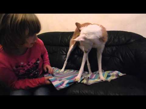 Anuja dreht durch :o)))