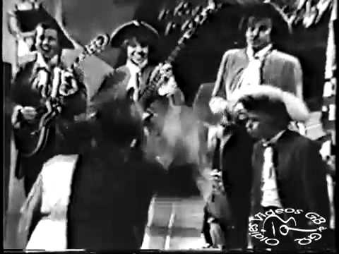 The Barracudas - I Wish It Could Be 1965 Again