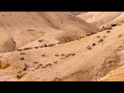 Veni, veni Emmanuel - Katarzyna Danel - Alla Polacca