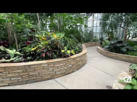 Detroiters get first look inside refreshed Anna Scripps Whitcomb Conservatory