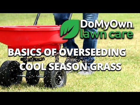  Overseeding Basics: How to Revive Your Cool-Season Lawn Video 