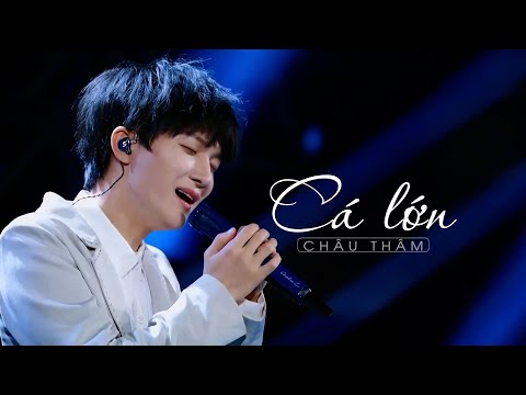 [Vietsub LIVE] Cá lớn - Châu Thâm
