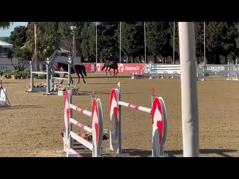 SX - Kaduna JL Z - 145cm - Vejer De La Frontera