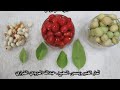 ثمار وبذور الضبر Dobera Glabra المصع نباتات السعودية