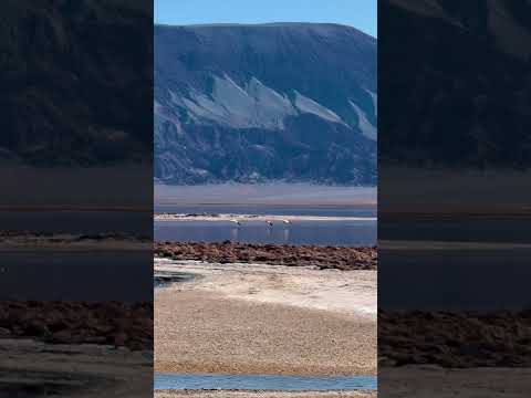 🌋LOS COLORES DE LA LAGUNA CARACHI PAMPA TIENEN UNA EXPLICACIÓN 🇦🇷