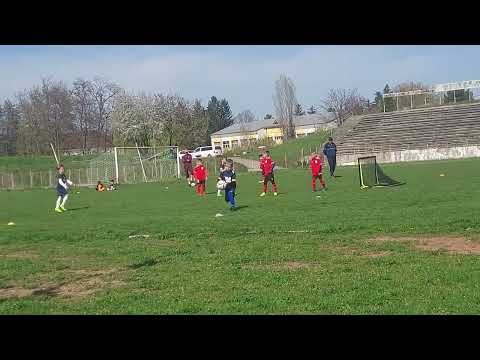 Meci Aripile Bacau 10-4 Sportul Onești (2018-2019)