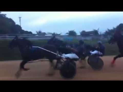 Americantrotter rio Bonju vs Ariero