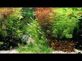 3 Hours Aquarium HD With Watersounds NO Music NO LOOP