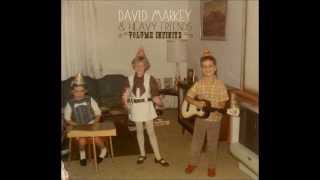 David Markey & Heavy Friends : Painted Willie - Crossed Fingers