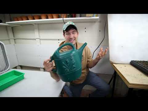 What Matt Damon The Martian Should Have Known Before Growing Indoor Potatoes