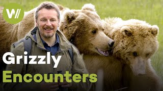 The Secret Life of Brown Bears | Grizzly Encounters with Chris Morgan (2/2)