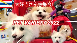【🇹🇭🇯🇵PET VARIETY 2022 】犬好きさん大集合!#bangkok #タイ #旅行