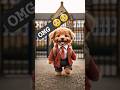 Dog Sad Story Hamari Aduri Kahani Song Dogshorts Sadsong