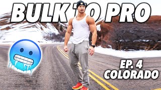 BULK TO PRO EP. 4 | COLORADO VLOG | BENCH IS COMING BACK FAST