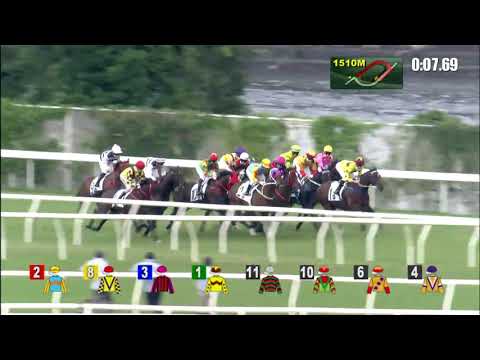 勇戰神駒21/10/17……(101)第八塲二級1600米