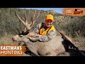Rifle hunt at 40 yards! Colorado Mule Deer Hunt | Eastmans' Hunting TV