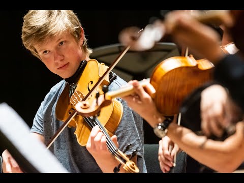 Beethovens Septet en Unequal Parts van Padding