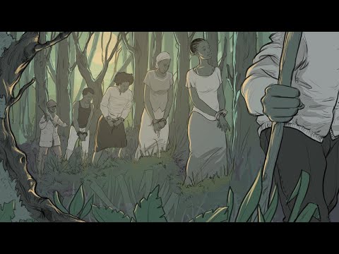 DR Congo: Gangs Kidnap, Rape in National Park