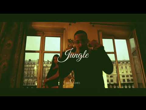 [FREE] Light X Sigma Type Beat - "JUNGLE" | Melodic Trap Instrumental 2021