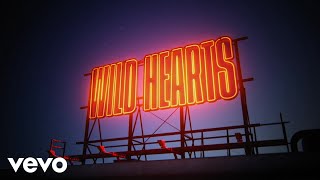 Musik-Video-Miniaturansicht zu Wild Hearts Songtext von Keith Urban