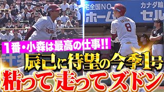 [分享] 今日 辰己涼介