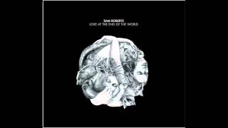 Lions Of The Kalahari by Sam Roberts