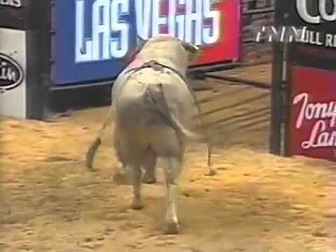Troy Dunn vs Promise Land - 00 PBR Tampa (91.5 pts)