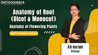 Anatomy of Root (Dicot & Monocot) | Anatomy of Flowering Plants| NEETPremier | AA Ma'am | EtoosIndia