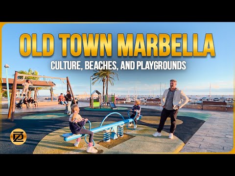 Dico Zimmer and 3 more