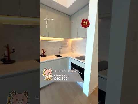 OMA OMA Youtube Video