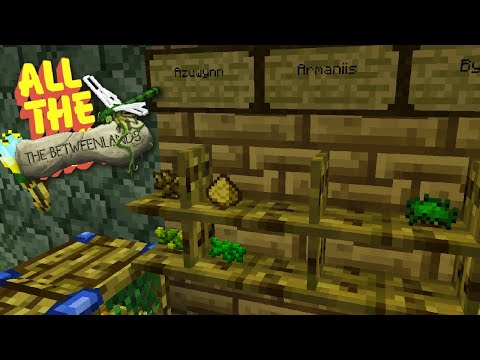 Aspekte und Kräuterkunde! 💠 ATM3 TBL #09