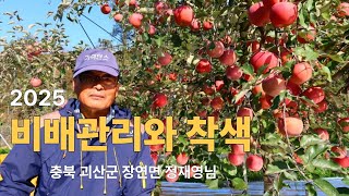 [사과재배] 기후는 어찌할 수 없지만 비배관리로 지켰습니다/정재영님 충북 괴산군 장연면