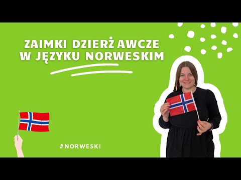 NORWESKI OD PODSTAW: Mój, Twój, nasz... Zaimki dzierżawcze w języku norweskim 📝