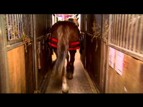 REPORTER RECORD INVESTIGAÇÃO 18 06