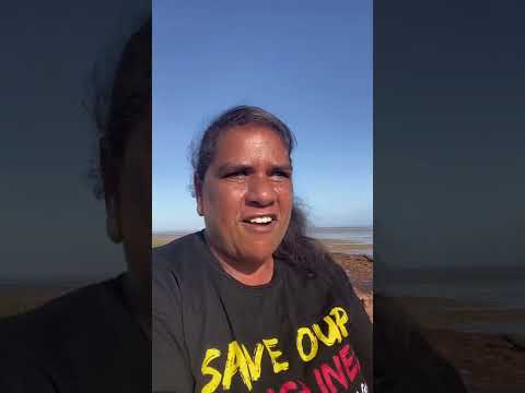 Why Save the Songlines