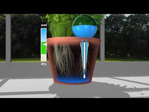 Plantpal Watering Globe