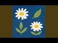 chamomile waltz