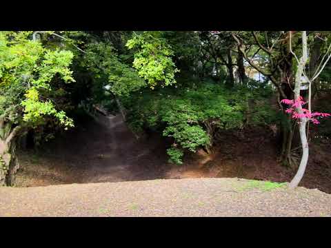 小田原総構　ドローン映像