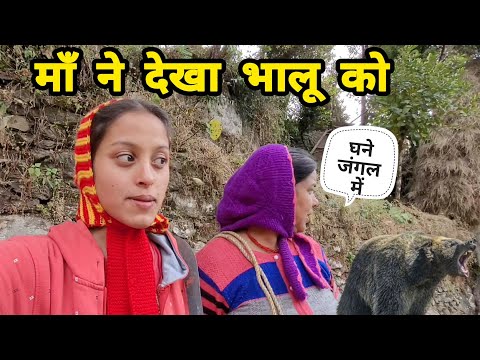 आज हम सब को चिल्ला कर जाना पड़ा घने जंगल में 😱 ||Pahadi Lifestyle Vlog ||Monika Kedarghati Vlogger||