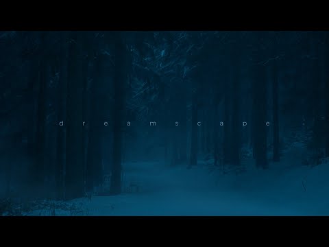 kodyak - been here before