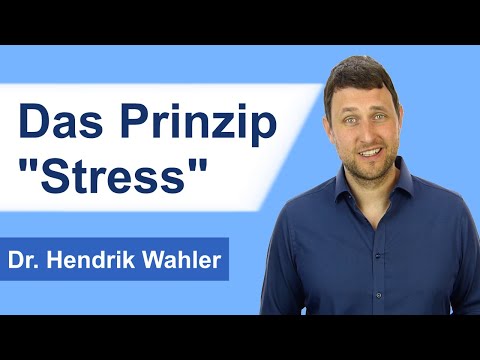 Das Prinzip "Stress": Flucht/Kampf