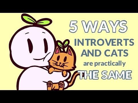 5 Ways Introverts And Cats Are Exactly the Same
