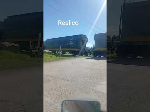 Realico la pampa