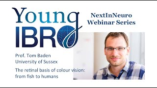 Young IBRO NextInNeuro Webinar 1: Prof. Tom Baden