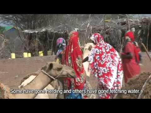 Video - Emergency vaccination campaign along the Somali-Kenyan border | WHO | Regional Office for Africa